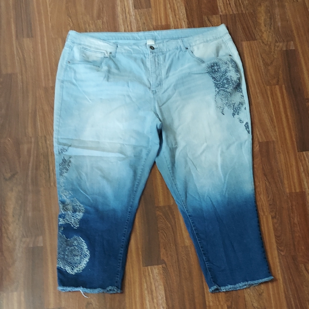 Terra & Sky Blue Ankle Cropped Jeans with Gradient Effect